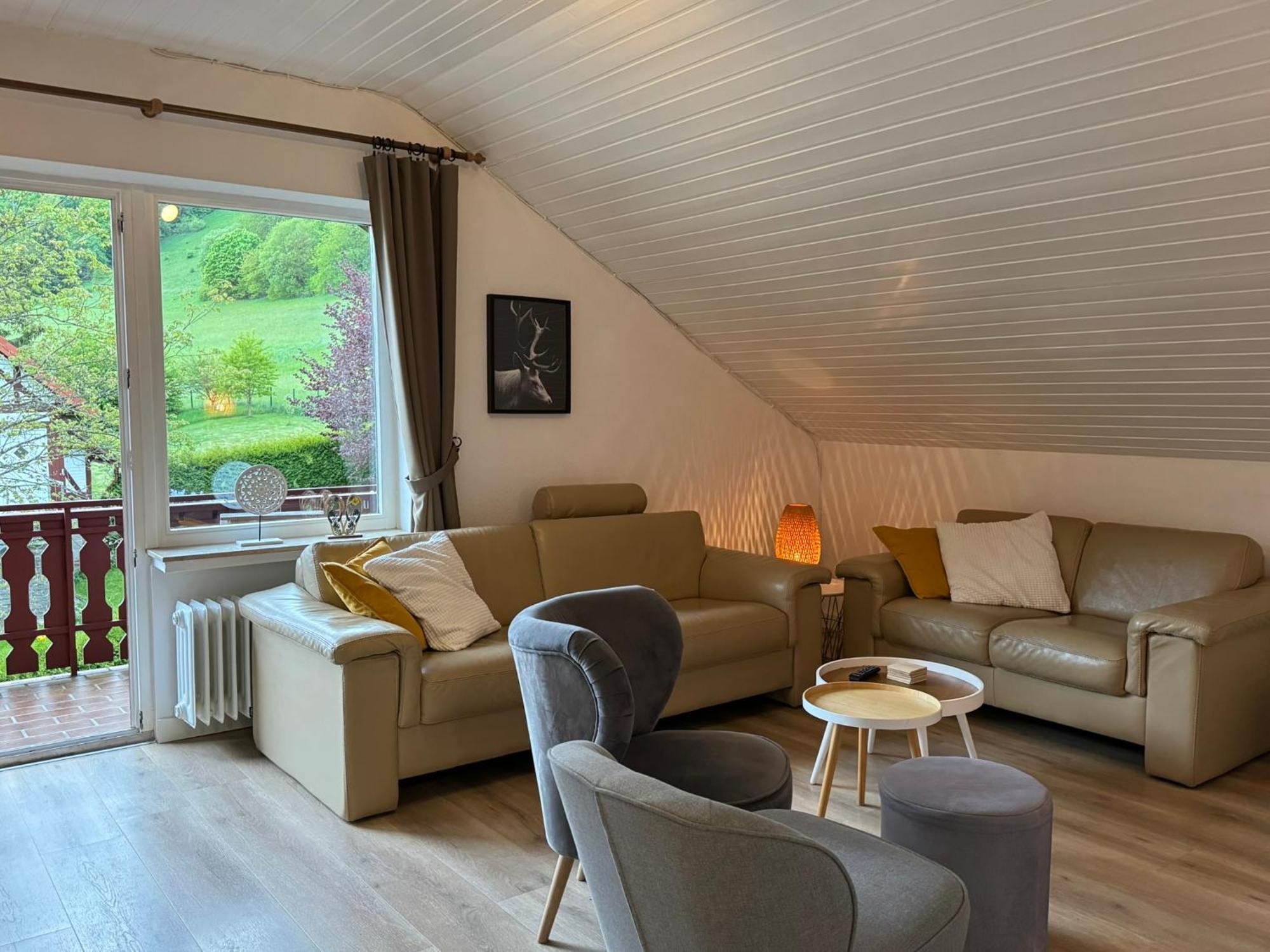Ferienwohnung Sonnentraum - Appartement 5 Willingen Willingen  Extérieur photo
